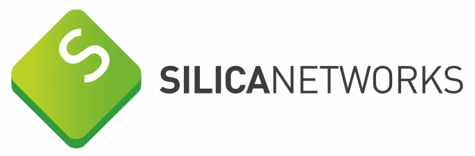 Silica Networks